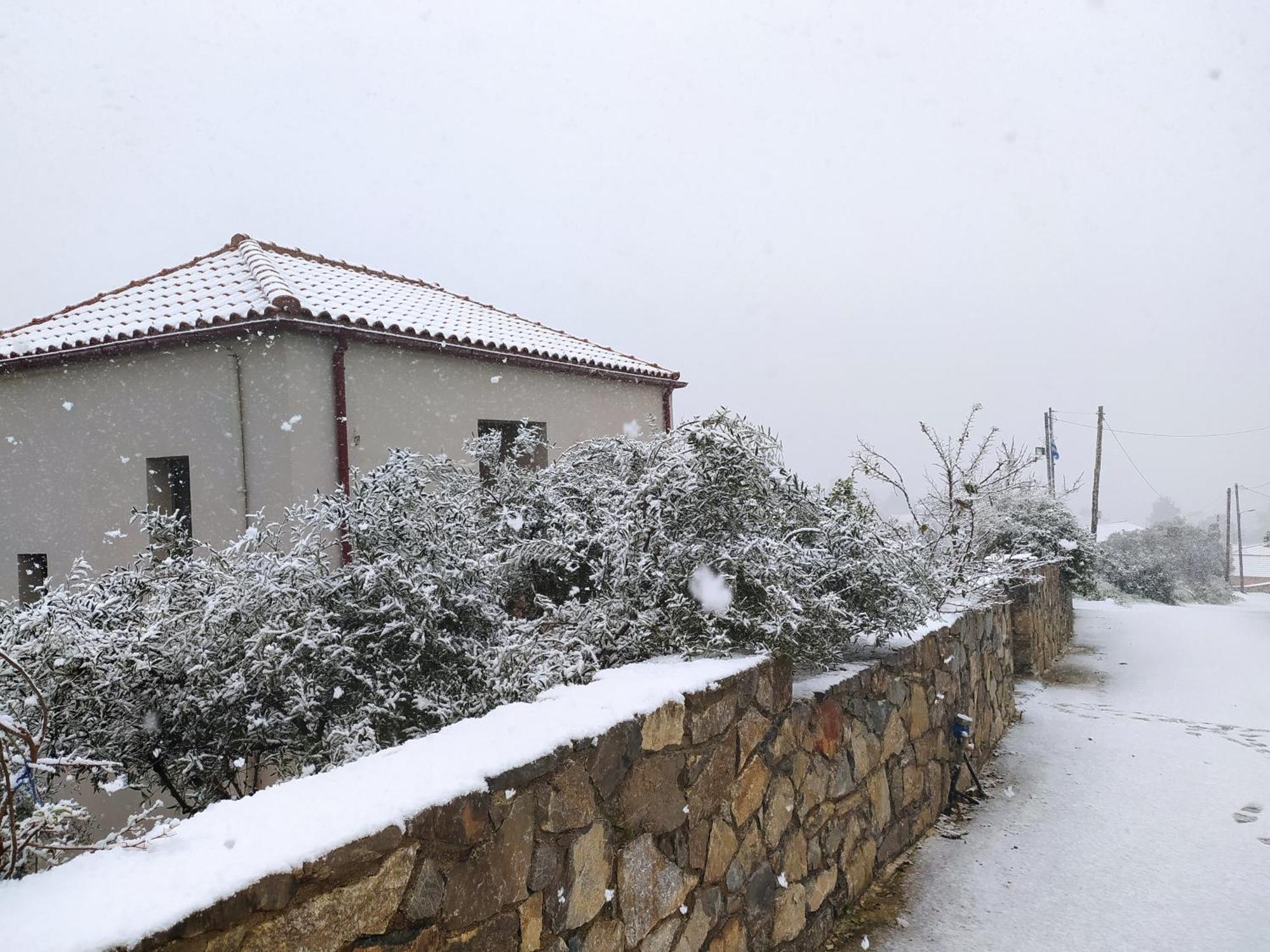 "Villa Kastania" Melidoni, Chania, Crete Exterior photo